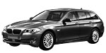 BMW F11 P1000 Fault Code